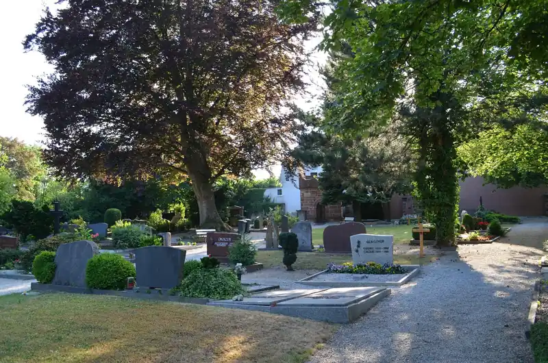 Gräber unter alten Bäumen auf dem evangelischen Friedhof am Untertor in Bad Homburg