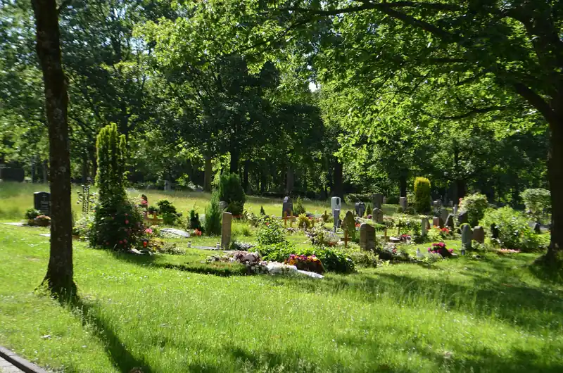 Grabfeld unter alten Bäumen am Friedhof Thalerfeld in Kronberg